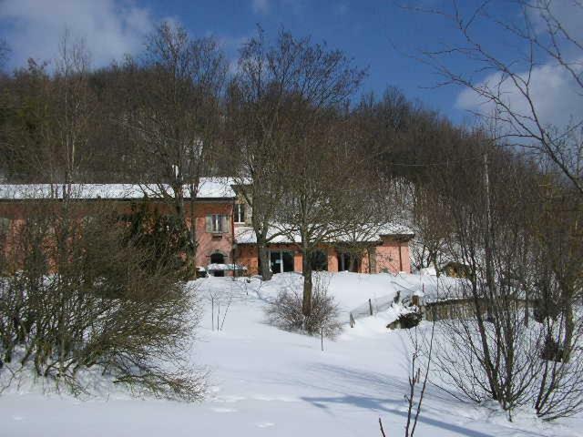 B&B Il Boschetto Calestano Exteriör bild